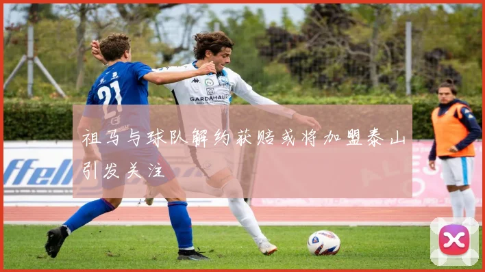 祖马与球队解约获赔或将加盟泰山引发关注