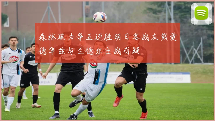 森林狼力争五连胜明日客战灰熊爱德华兹与兰德尔出战存疑